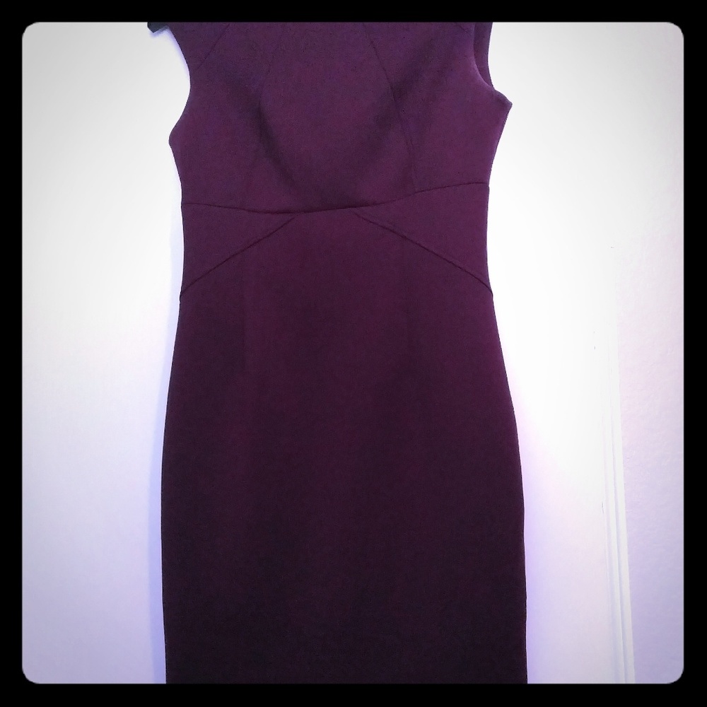 Calvin Klein Purple Fitted Dress Size 10